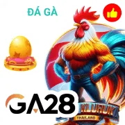 789win Game 11